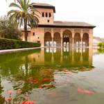 Picture from Granada's Alcazar, the castle with red fishes in a pool